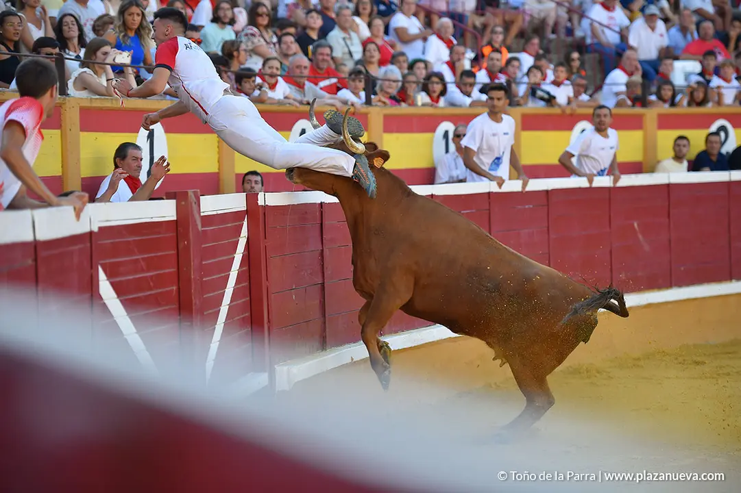 Recortadores d&iacute;a 27, Fiestas de Tudela 2022 - 32
