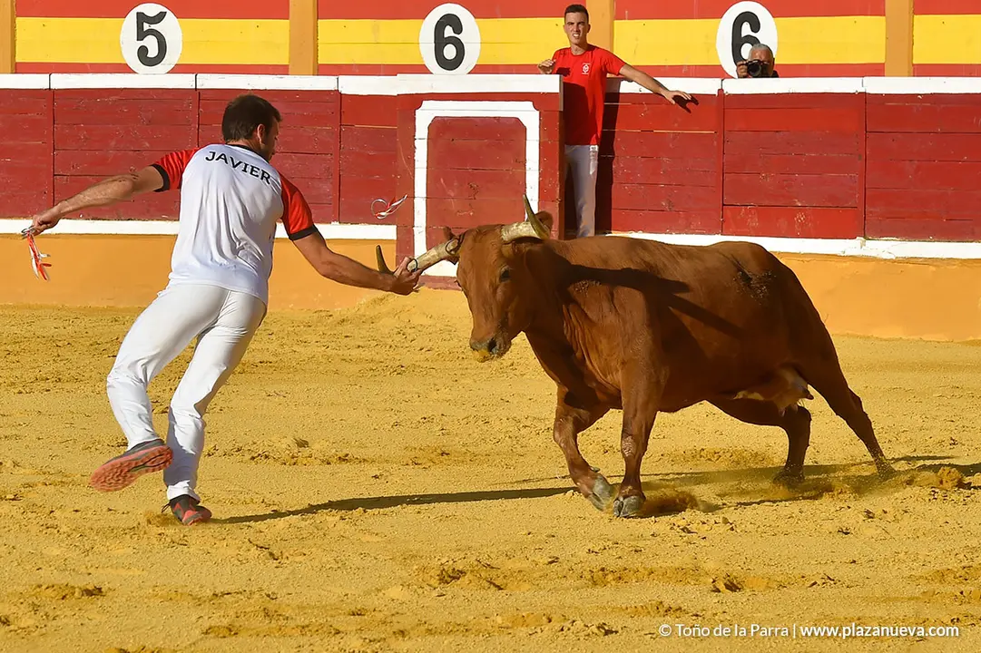 Recortadores d&iacute;a 27, Fiestas de Tudela 2022 - 33