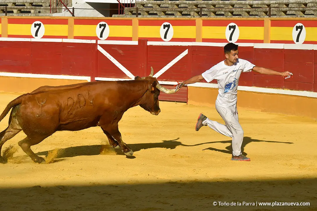 Recortadores d&iacute;a 27, Fiestas de Tudela 2022 - 34