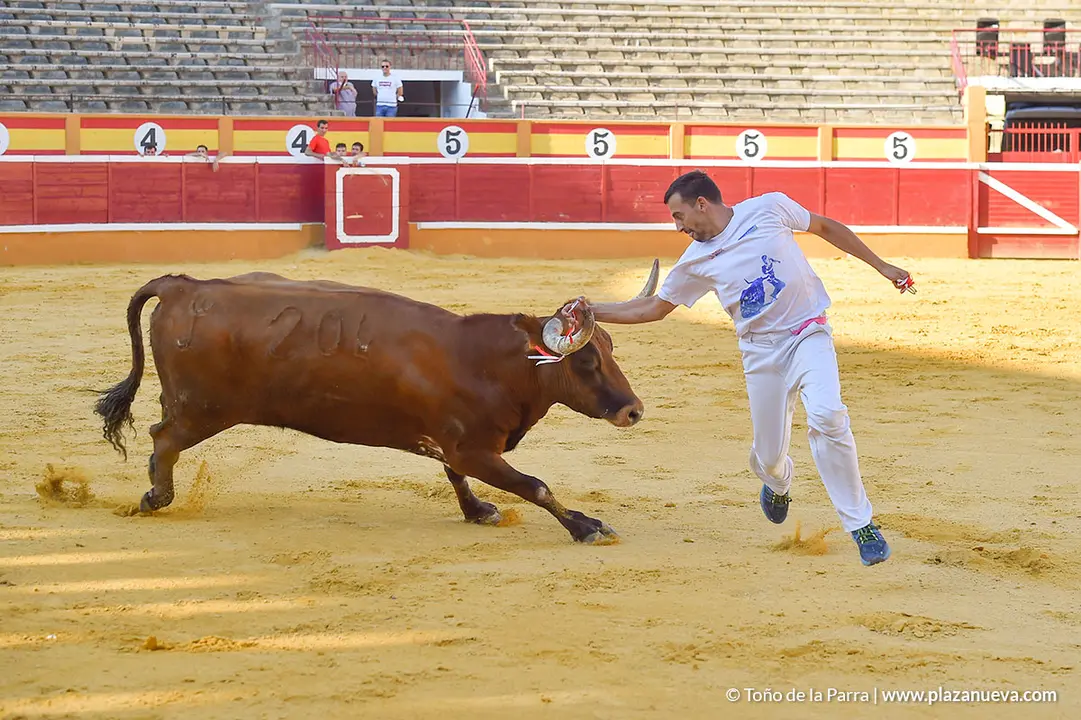 Recortadores d&iacute;a 27, Fiestas de Tudela 2022 - 35