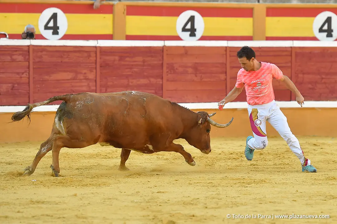 Recortadores d&iacute;a 27, Fiestas de Tudela 2022 - 37