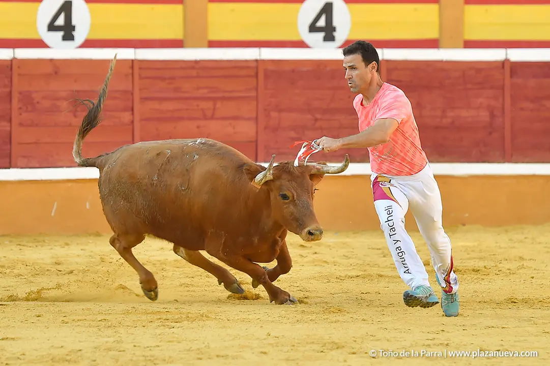 Recortadores d&iacute;a 27, Fiestas de Tudela 2022 - 38