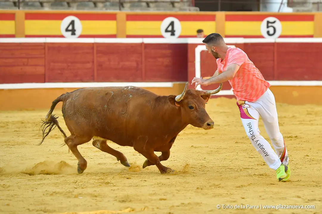 Recortadores d&iacute;a 27, Fiestas de Tudela 2022 - 39