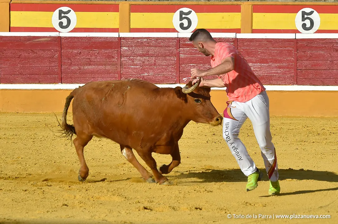 Recortadores d&iacute;a 27, Fiestas de Tudela 2022 - 40