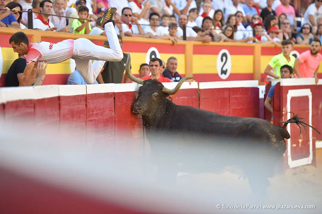 Recortadores d&iacute;a 27, Fiestas de Tudela 2022 - 41