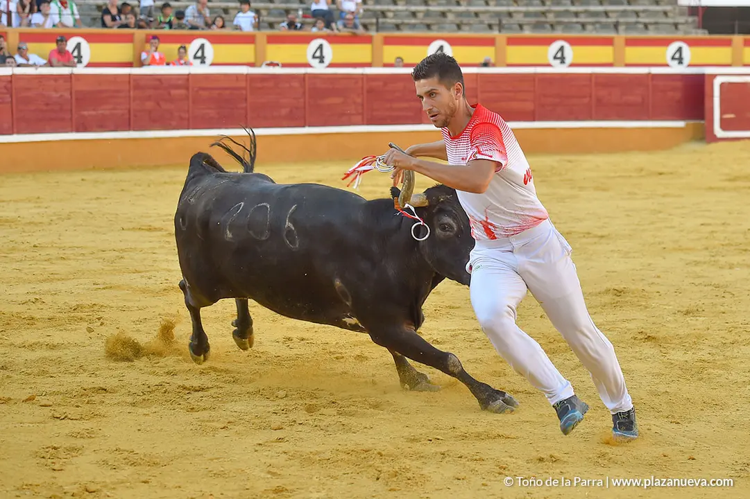 Recortadores d&iacute;a 27, Fiestas de Tudela 2022 - 42