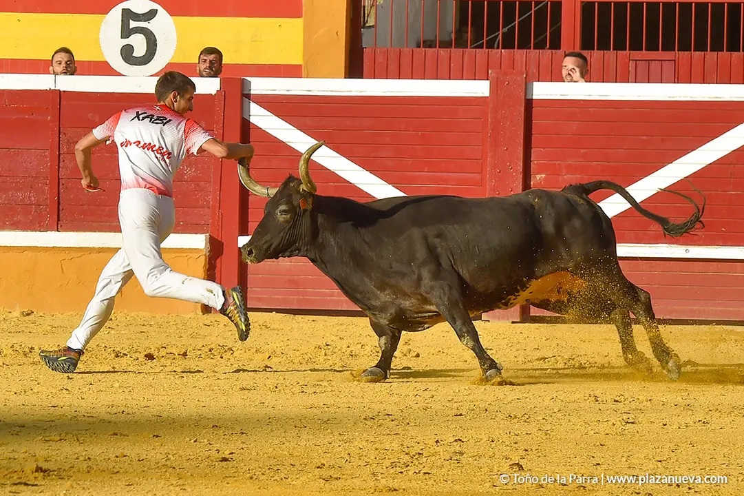 Recortadores d&iacute;a 27, Fiestas de Tudela 2022 - 43