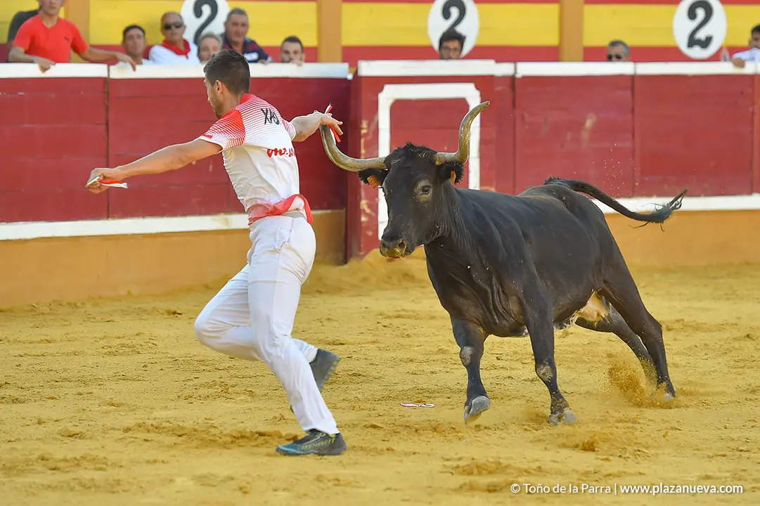 Recortadores d&iacute;a 27, Fiestas de Tudela 2022 - 44