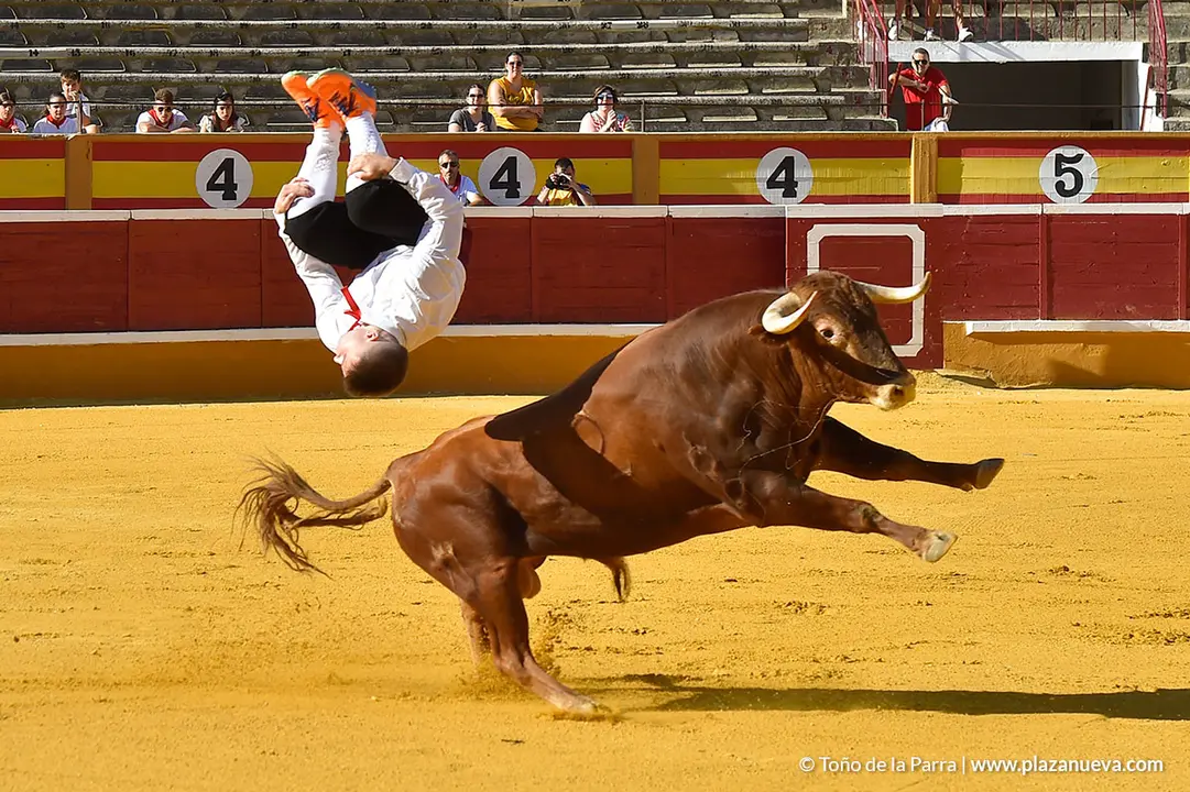 Recortadores d&iacute;a 26, Fiestas de Tudela 2022 - 01