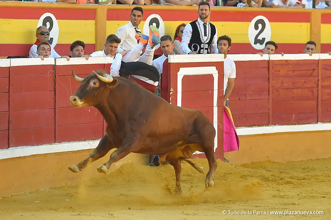 Recortadores d&iacute;a 26, Fiestas de Tudela 2022 - 04