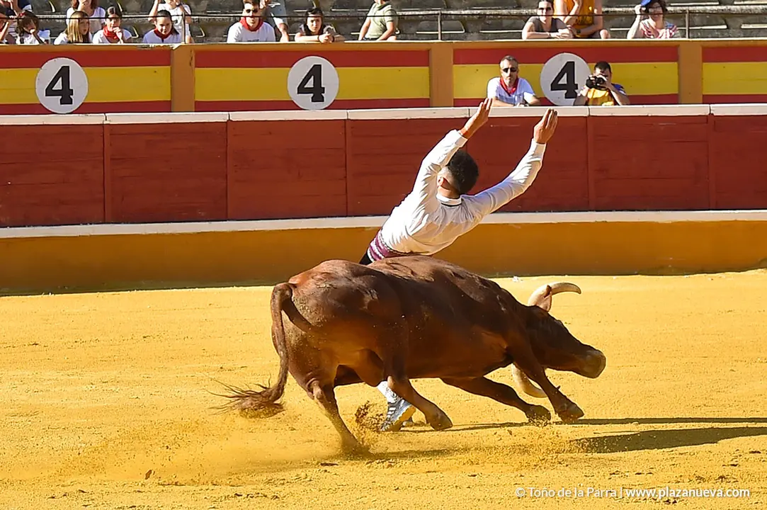 Recortadores d&iacute;a 26, Fiestas de Tudela 2022 - 05