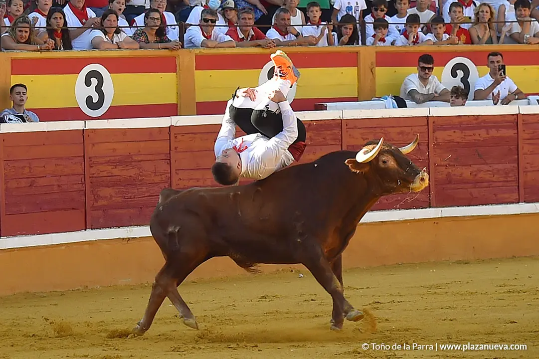 Recortadores d&iacute;a 26, Fiestas de Tudela 2022 - 07