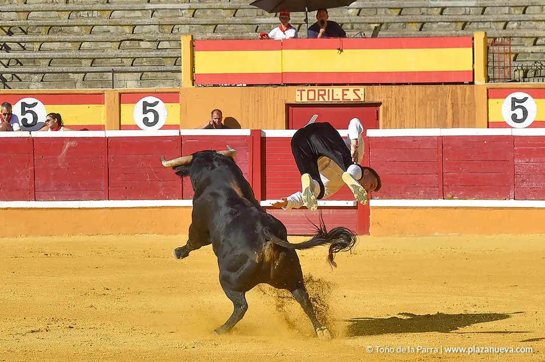 Recortadores d&iacute;a 26, Fiestas de Tudela 2022 - 13
