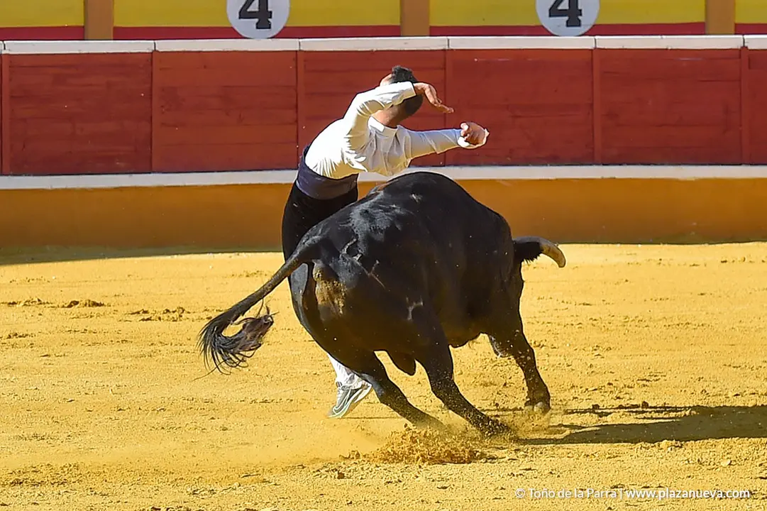 Recortadores d&iacute;a 26, Fiestas de Tudela 2022 - 14