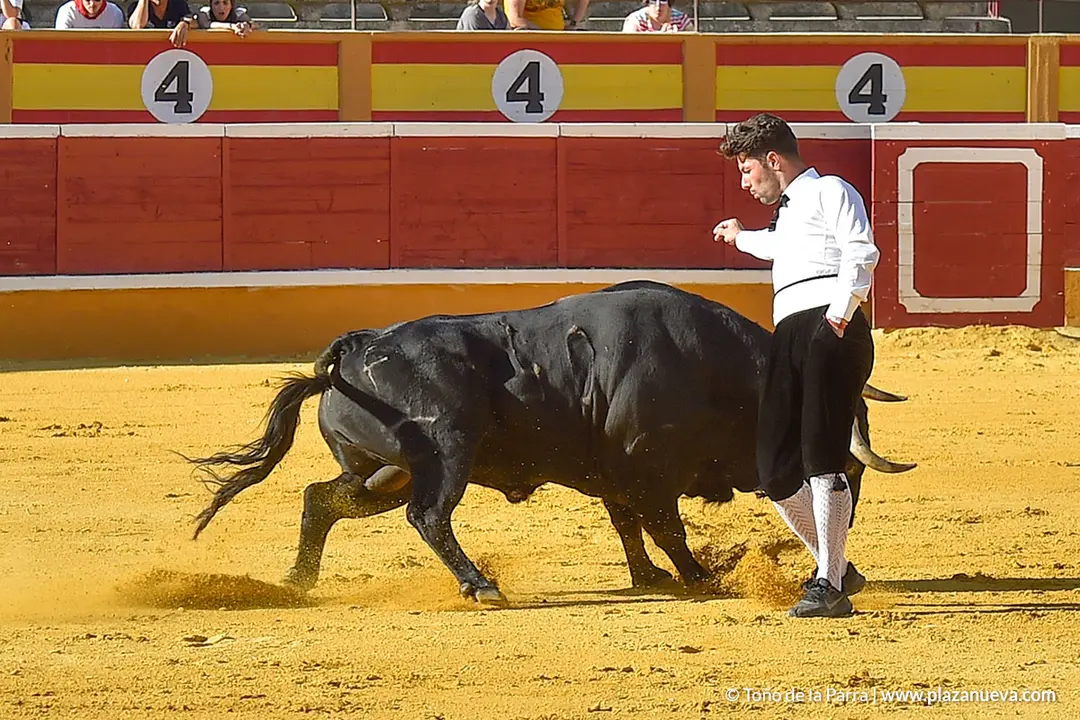 Recortadores d&iacute;a 26, Fiestas de Tudela 2022 - 15
