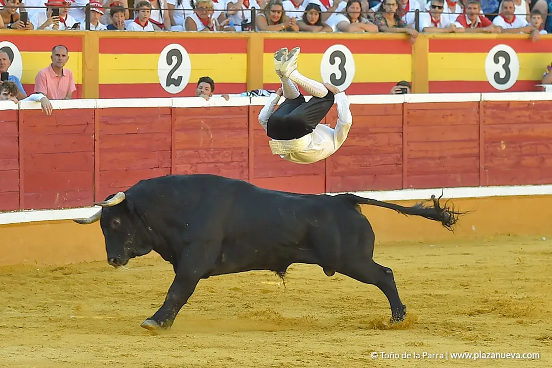 Recortadores d&iacute;a 26, Fiestas de Tudela 2022 - 16