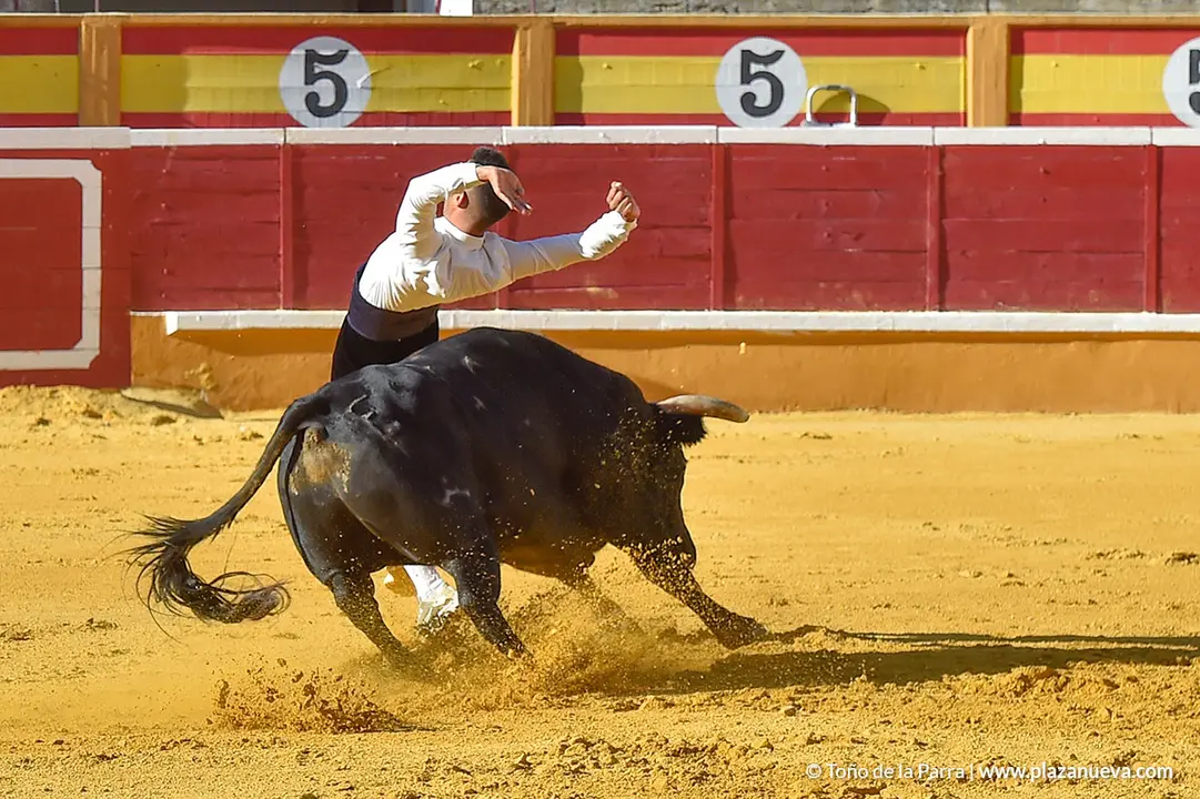 Recortadores d&iacute;a 26, Fiestas de Tudela 2022 - 17