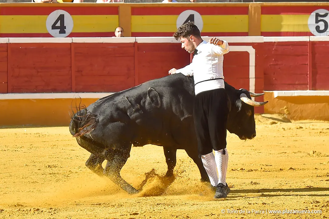 Recortadores d&iacute;a 26, Fiestas de Tudela 2022 - 18
