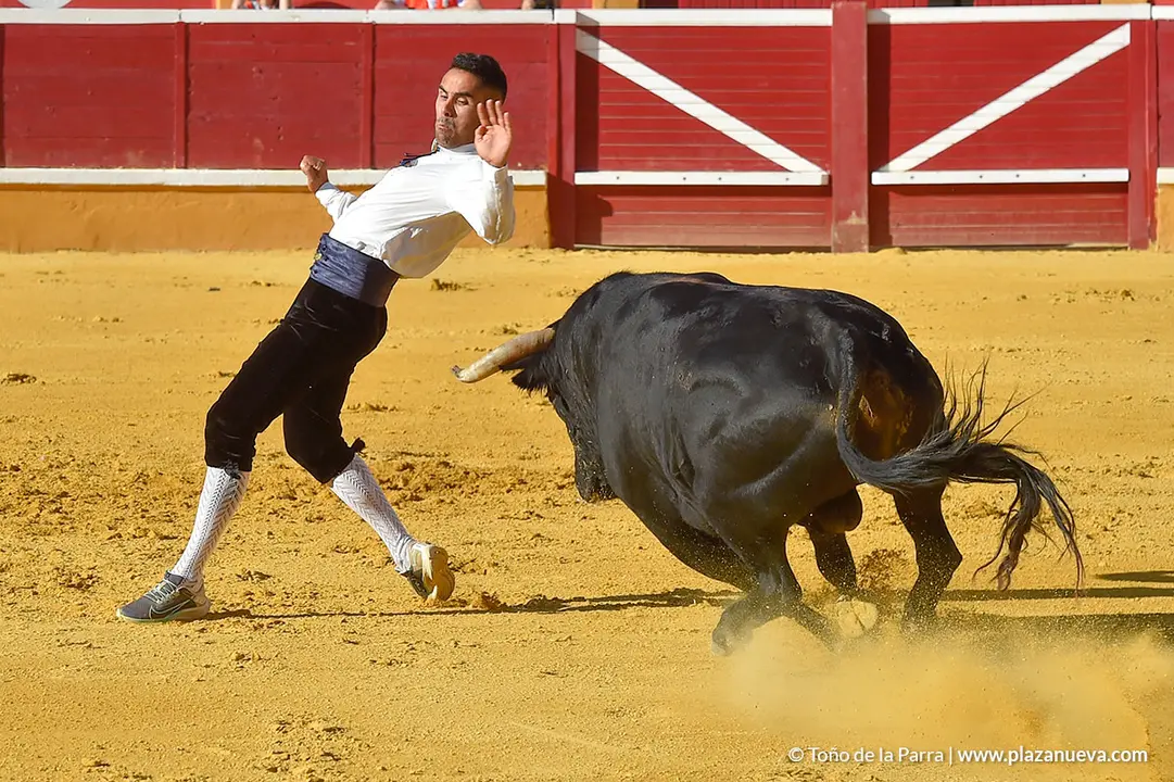 Recortadores d&iacute;a 26, Fiestas de Tudela 2022 - 20