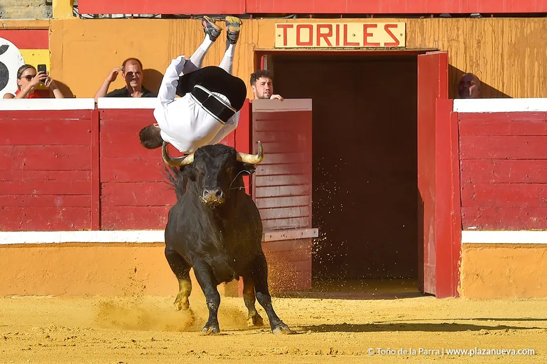 Recortadores d&iacute;a 26, Fiestas de Tudela 2022 - 21