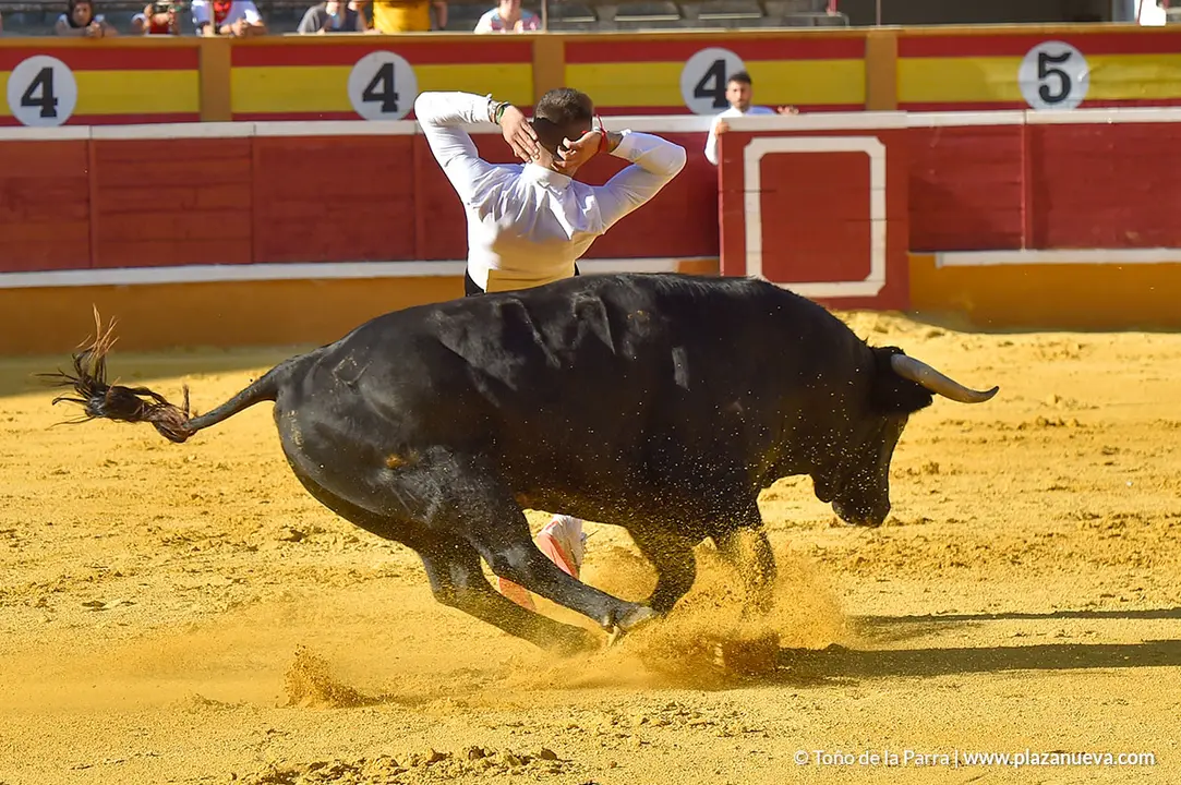 Recortadores d&iacute;a 26, Fiestas de Tudela 2022 - 24