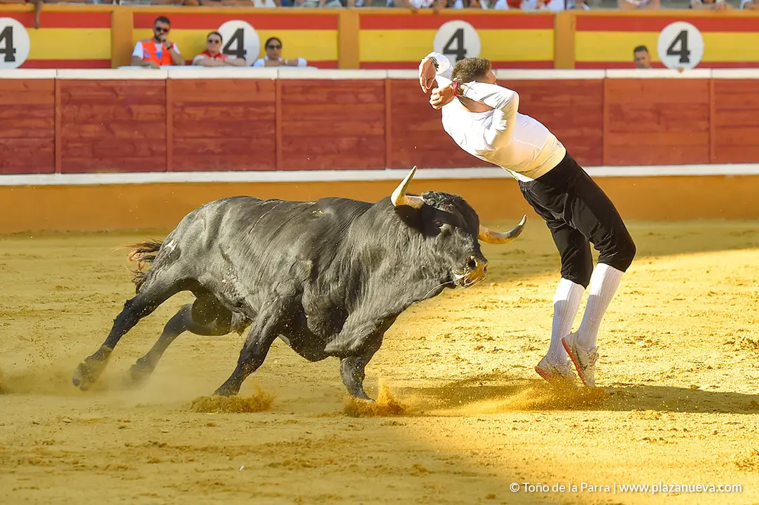 Recortadores d&iacute;a 26, Fiestas de Tudela 2022 - 26