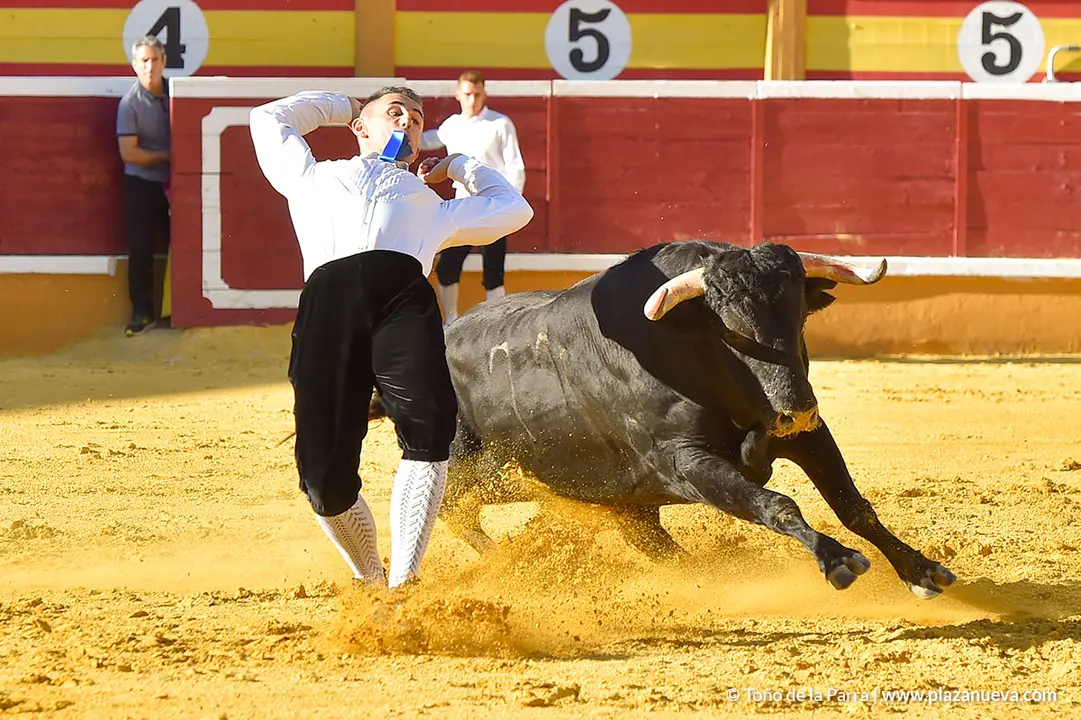 Recortadores d&iacute;a 26, Fiestas de Tudela 2022 - 30