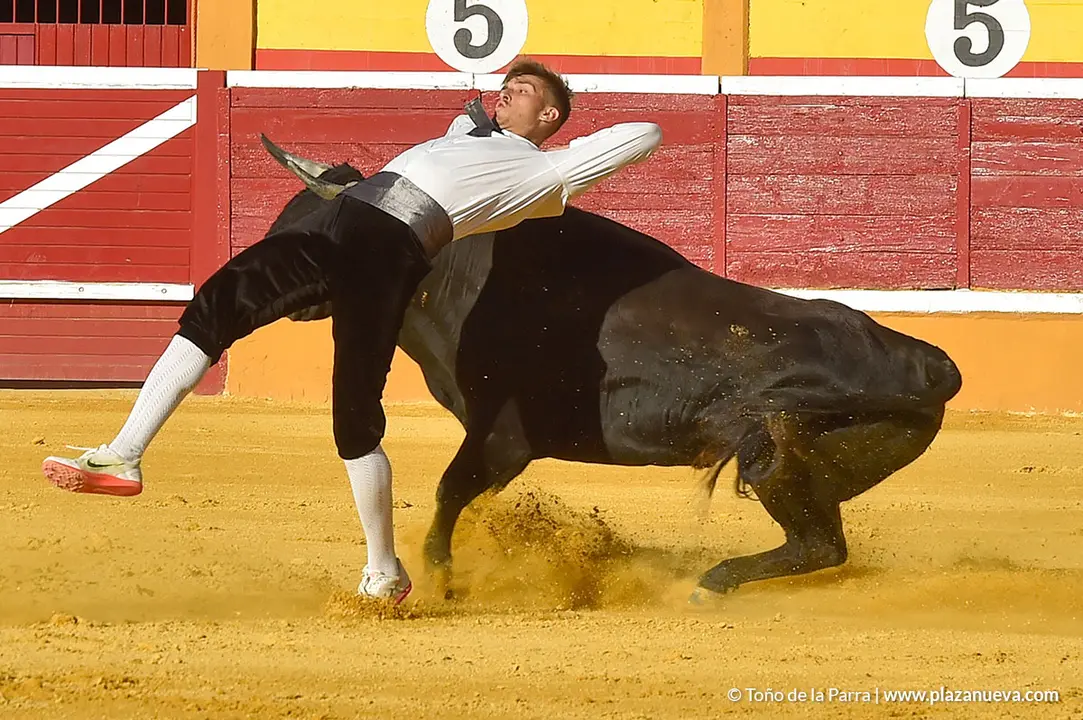 Recortadores d&iacute;a 26, Fiestas de Tudela 2022 - 36