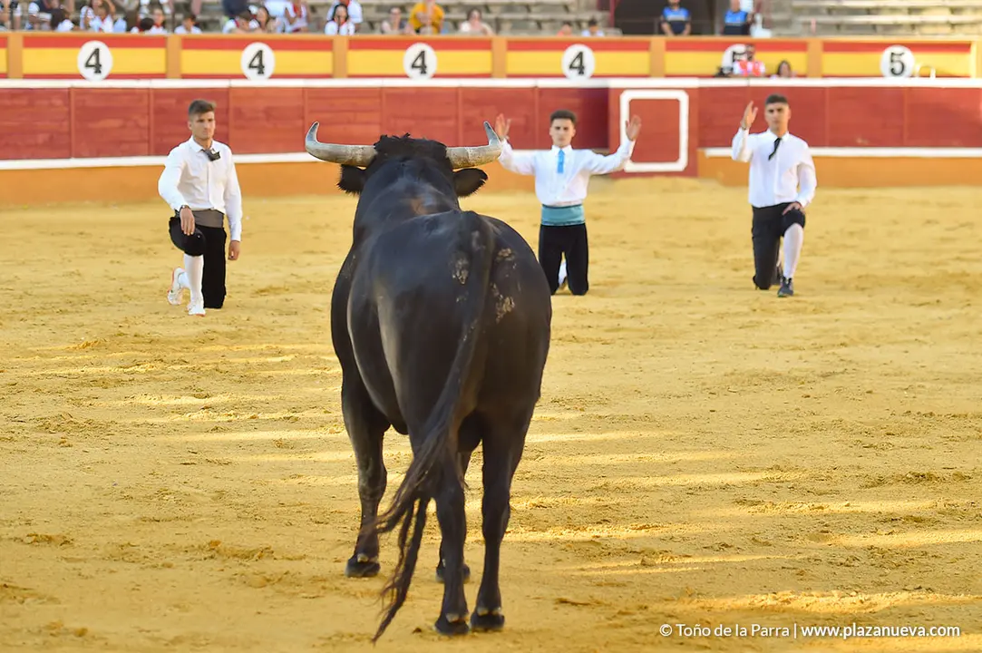 Recortadores d&iacute;a 26, Fiestas de Tudela 2022 - 41