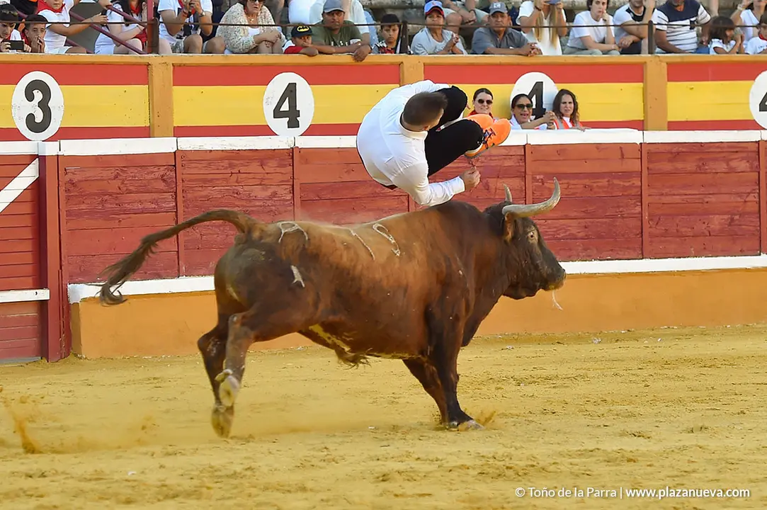 Recortadores d&iacute;a 26, Fiestas de Tudela 2022 - 44