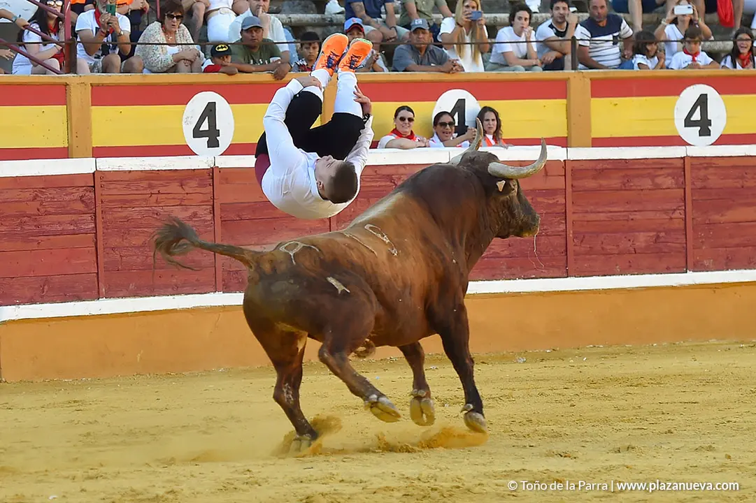 Recortadores d&iacute;a 26, Fiestas de Tudela 2022 - 45