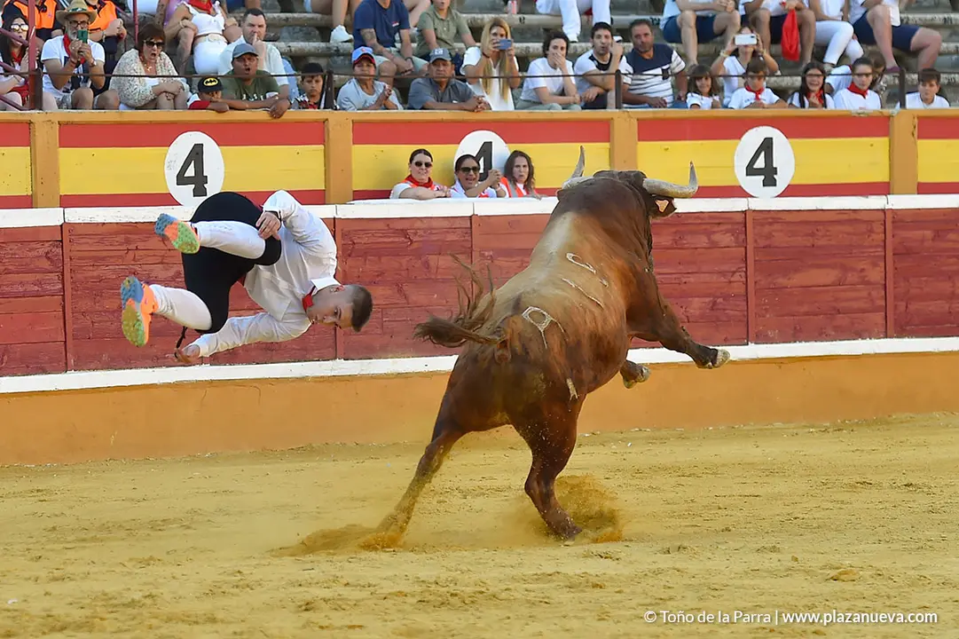 Recortadores d&iacute;a 26, Fiestas de Tudela 2022 - 46