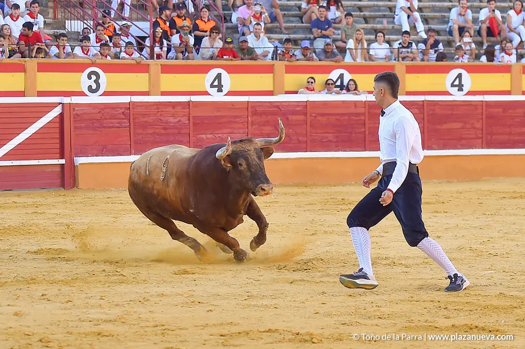 Recortadores d&iacute;a 26, Fiestas de Tudela 2022 - 49