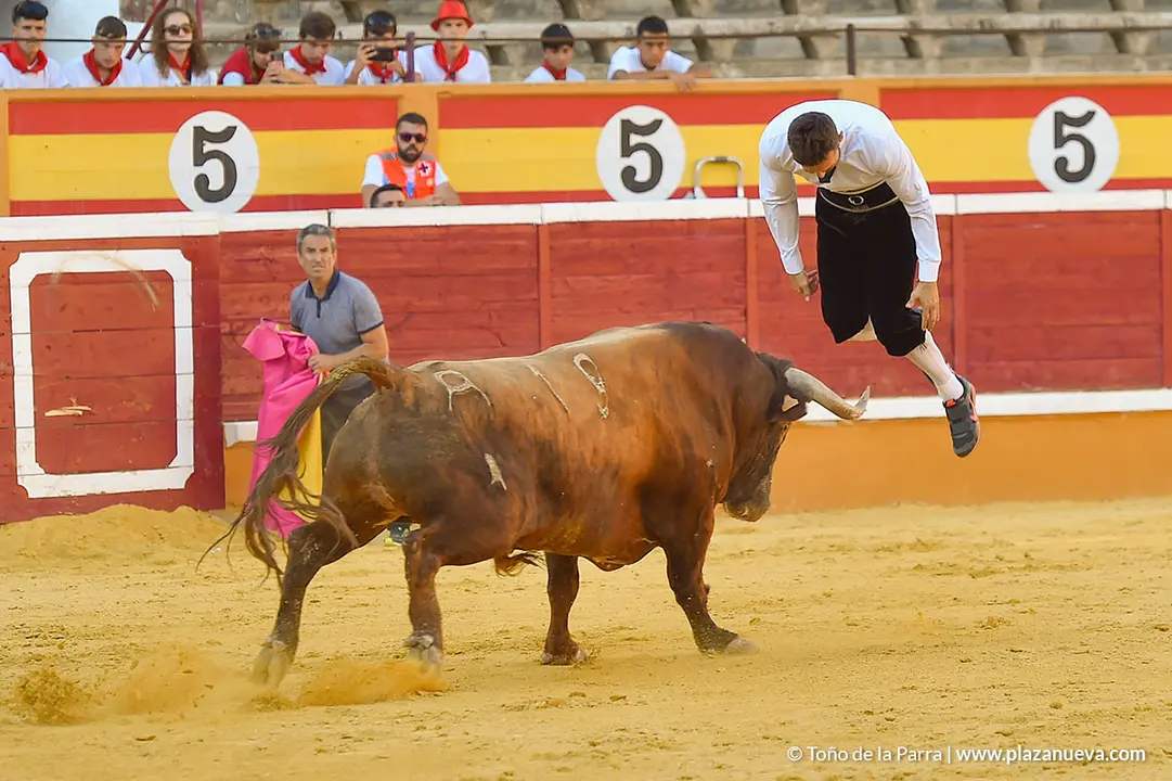 Recortadores d&iacute;a 26, Fiestas de Tudela 2022 - 51