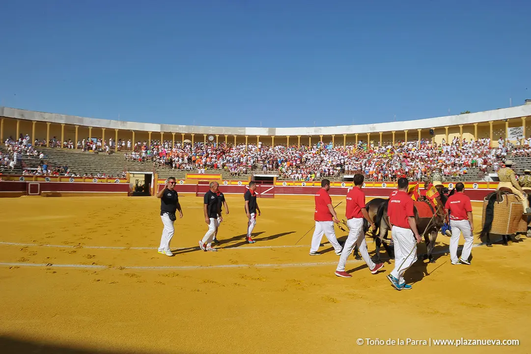 Corrida Toros d&iacute;a 25, Fiestas de Tudela 2022 - 04
