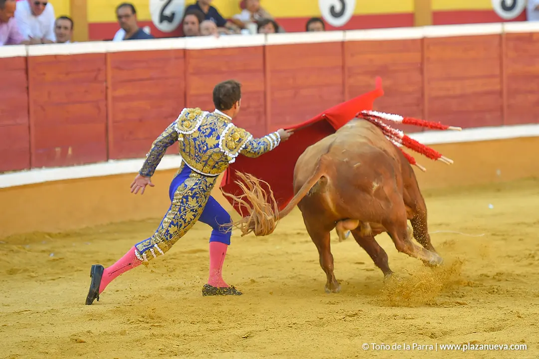 Corrida Toros d&iacute;a 25, Fiestas de Tudela 2022 - 06