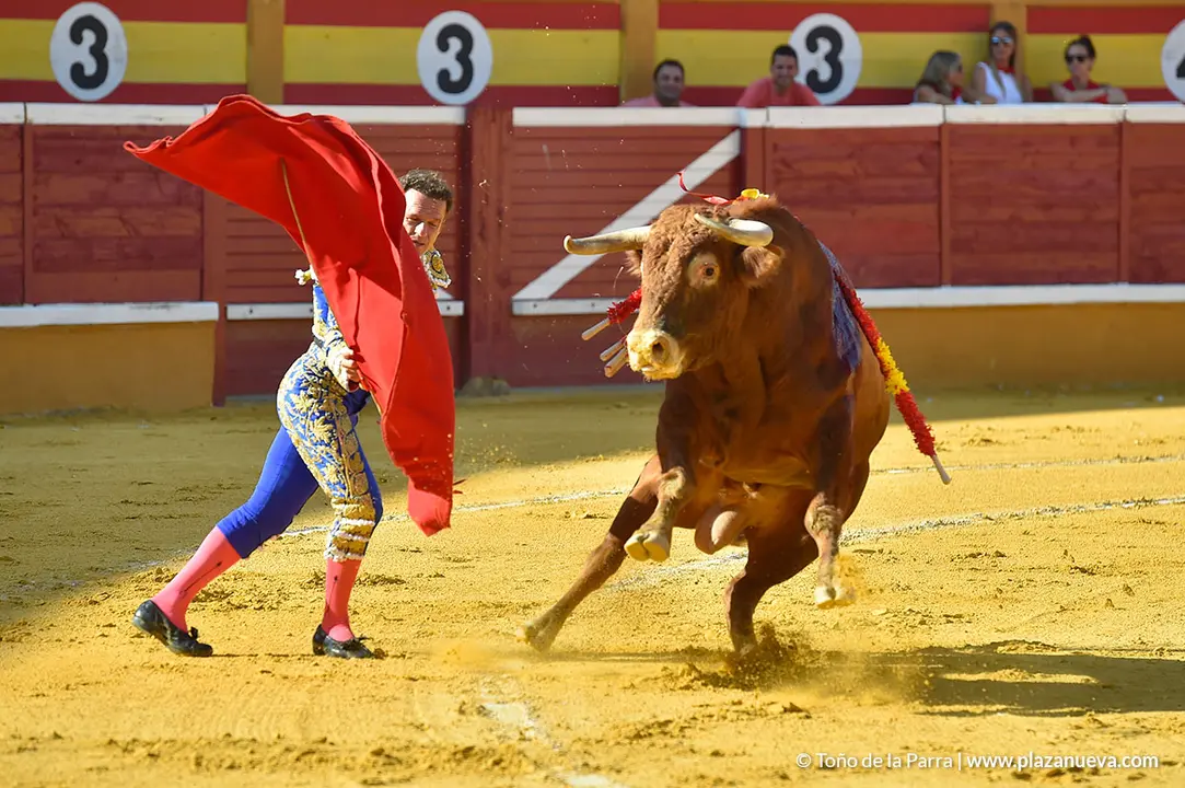Corrida Toros d&iacute;a 25, Fiestas de Tudela 2022 - 07