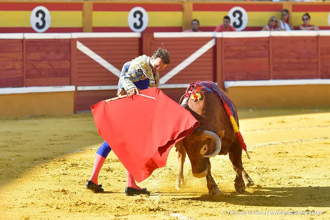 Corrida Toros d&iacute;a 25, Fiestas de Tudela 2022 - 08