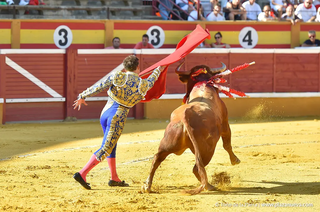 Corrida Toros d&iacute;a 25, Fiestas de Tudela 2022 - 09