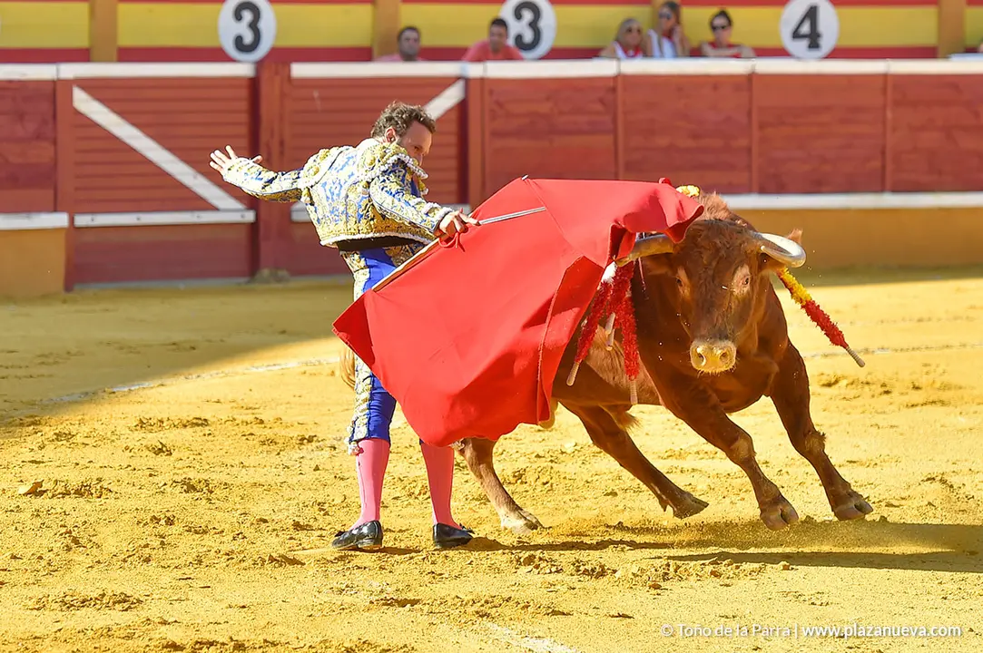 Corrida Toros d&iacute;a 25, Fiestas de Tudela 2022 - 10