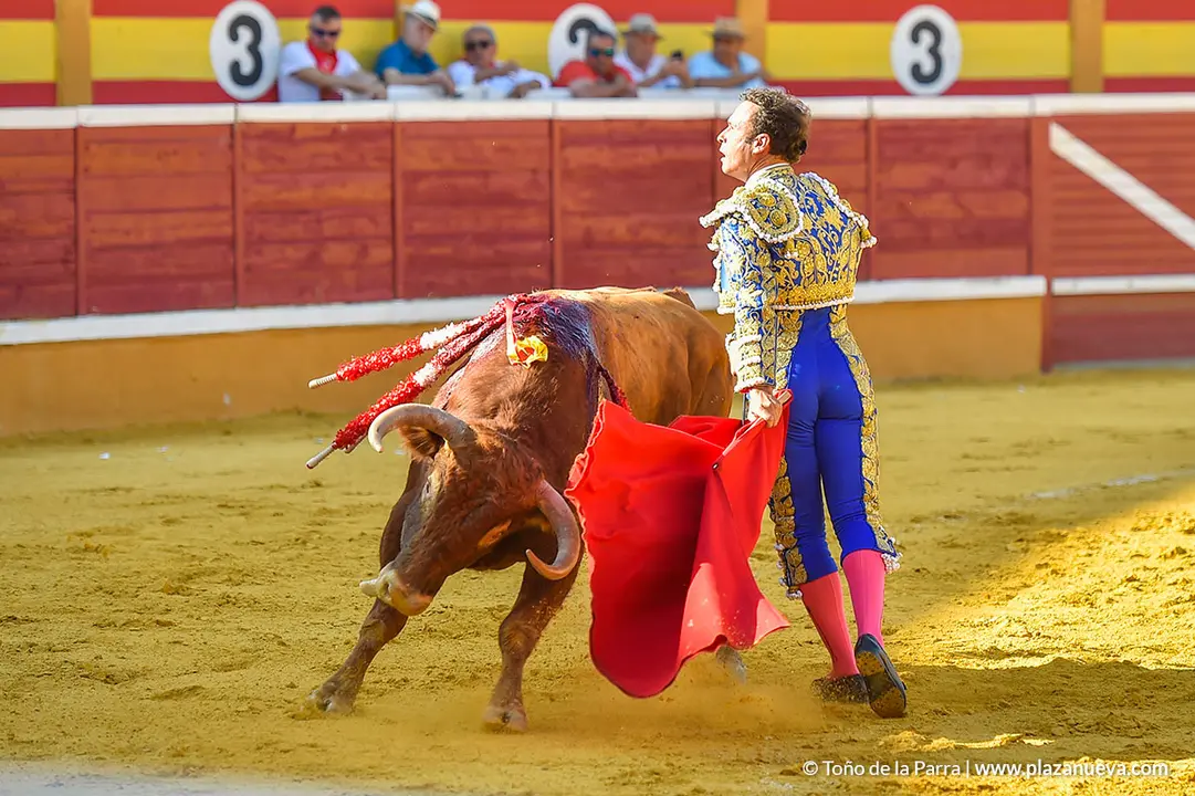 Corrida Toros d&iacute;a 25, Fiestas de Tudela 2022 - 11