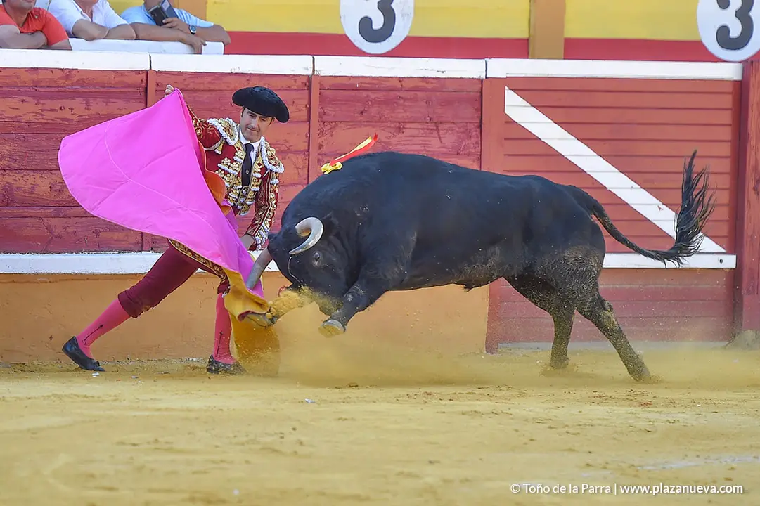 Corrida Toros d&iacute;a 25, Fiestas de Tudela 2022 - 14