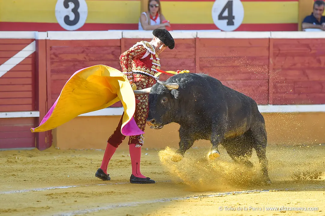 Corrida Toros d&iacute;a 25, Fiestas de Tudela 2022 - 16