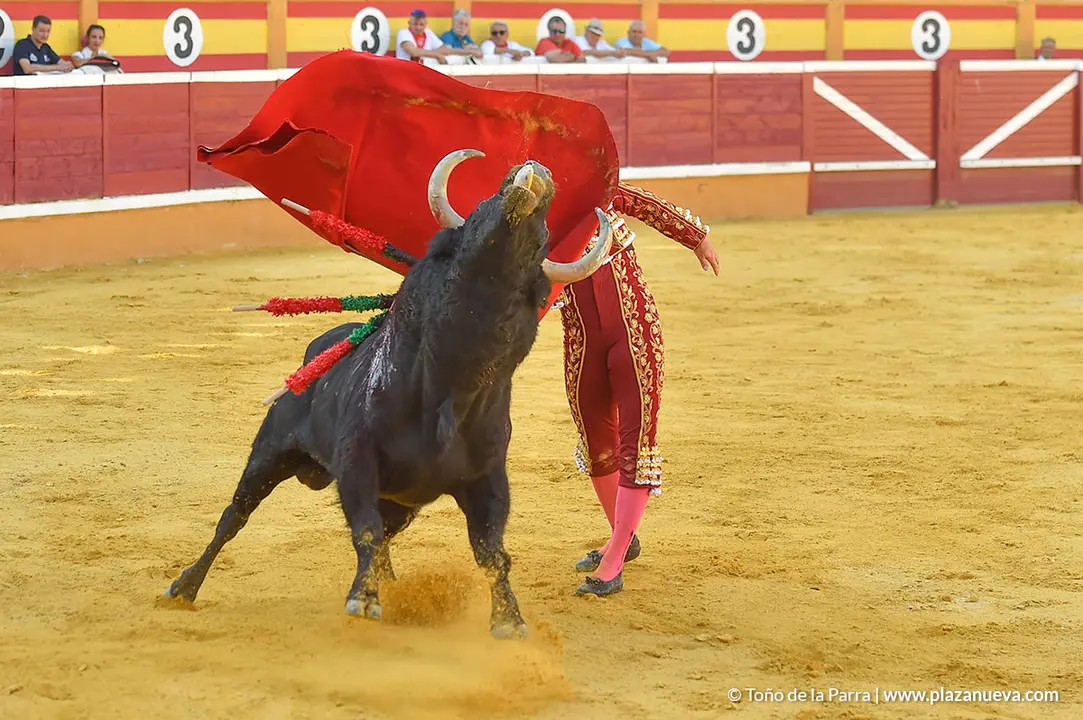 Corrida Toros d&iacute;a 25, Fiestas de Tudela 2022 - 17