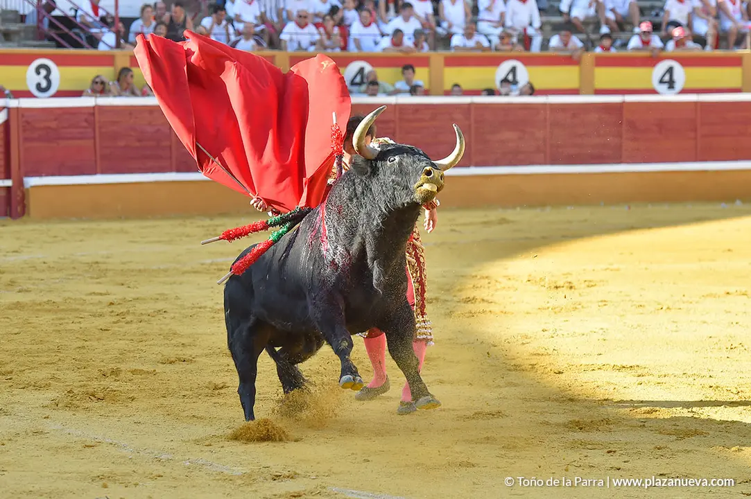 Corrida Toros d&iacute;a 25, Fiestas de Tudela 2022 - 18