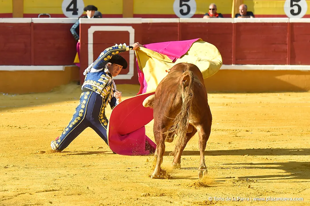 Corrida Toros d&iacute;a 25, Fiestas de Tudela 2022 - 19