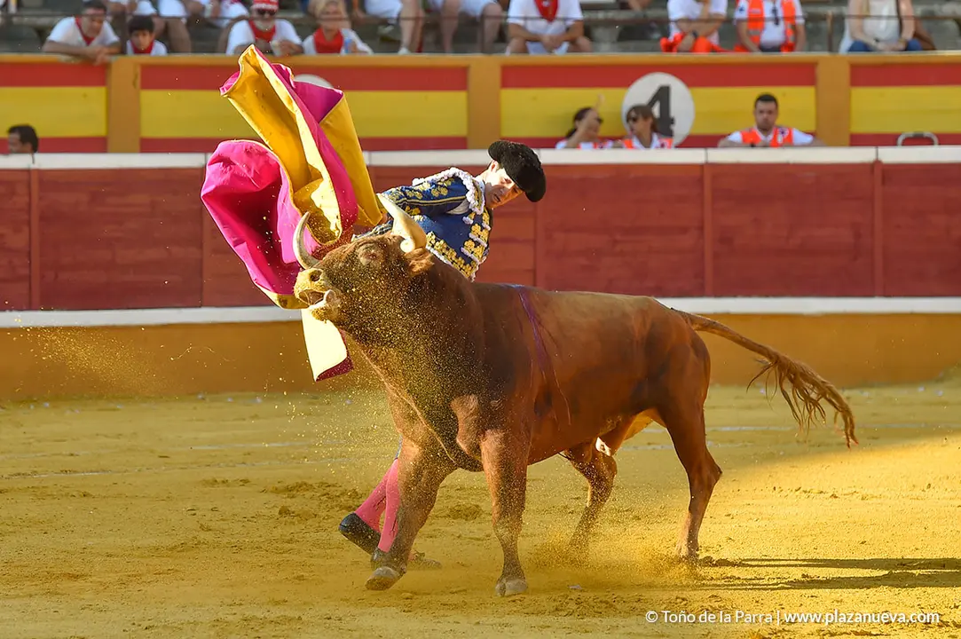 Corrida Toros d&iacute;a 25, Fiestas de Tudela 2022 - 20
