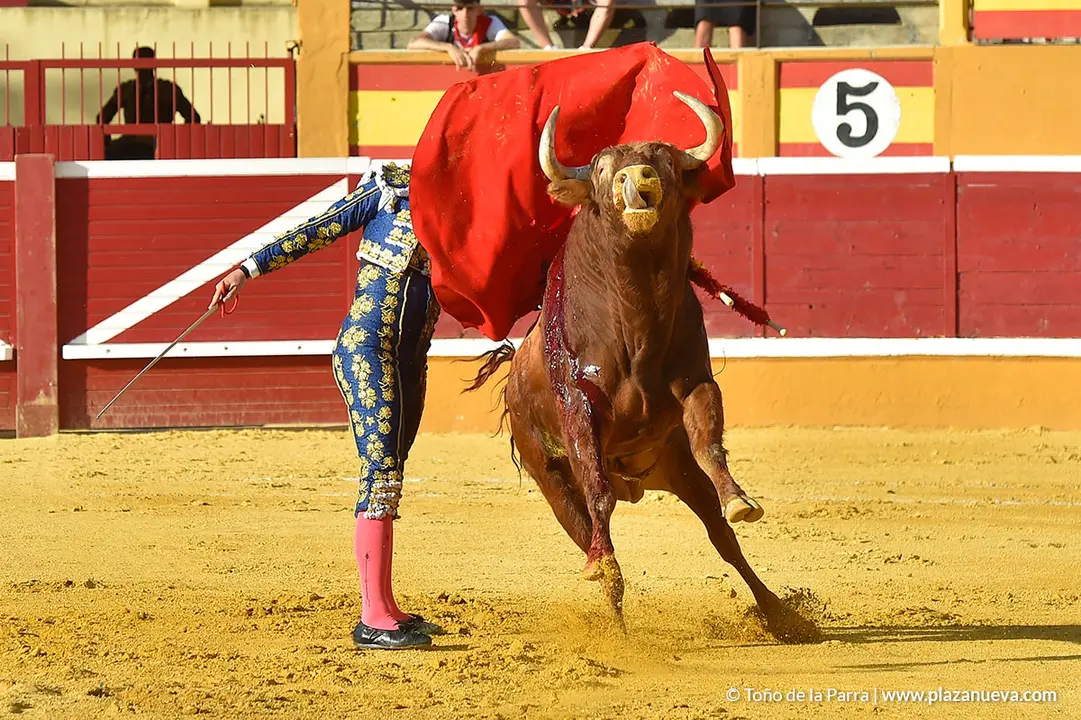 Corrida Toros d&iacute;a 25, Fiestas de Tudela 2022 - 21