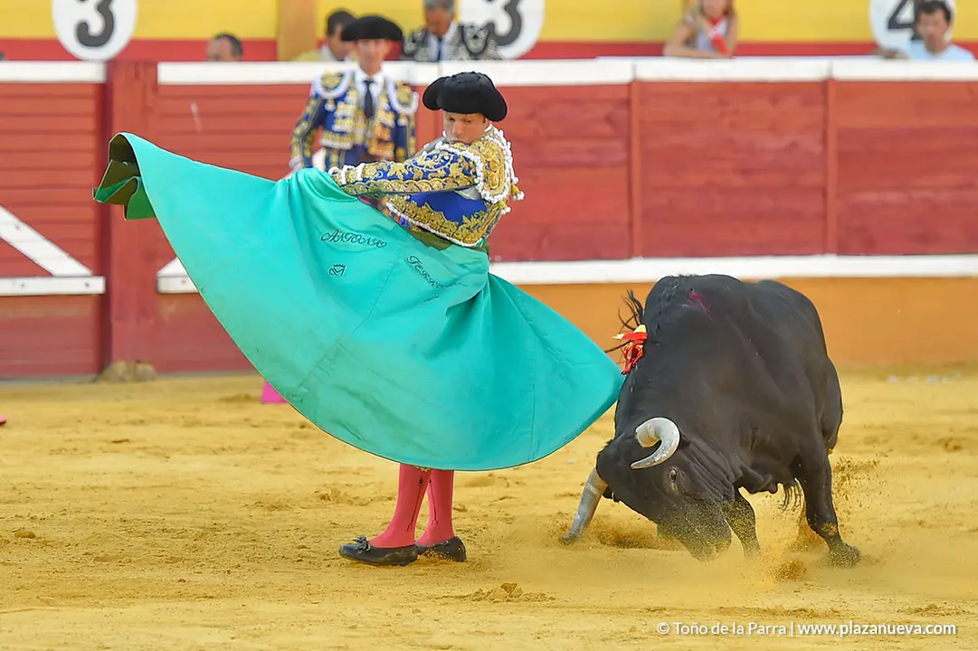 Corrida Toros d&iacute;a 25, Fiestas de Tudela 2022 - 22