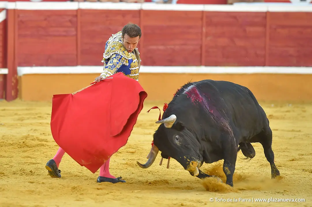 Corrida Toros d&iacute;a 25, Fiestas de Tudela 2022 - 23